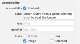 Screenshot of a user interface with accessibility settings